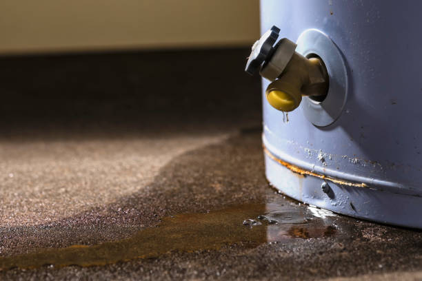 Best Water damage cleanup near me  in Gardner, KS