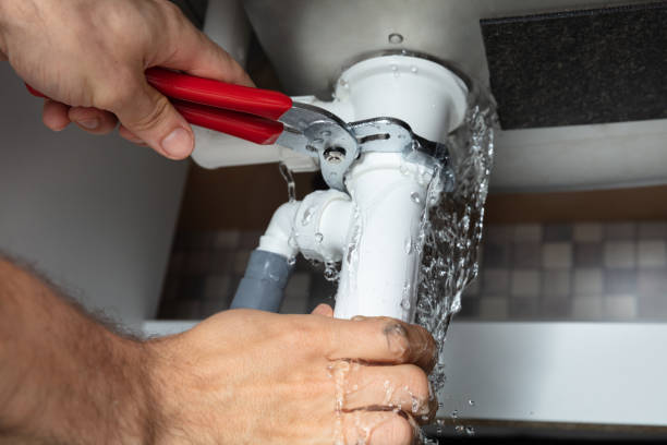 Best Mold removal after water damage  in Gardner, KS