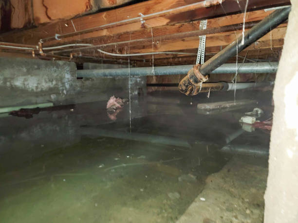 Best 24/7 water damage repair  in Gardner, KS