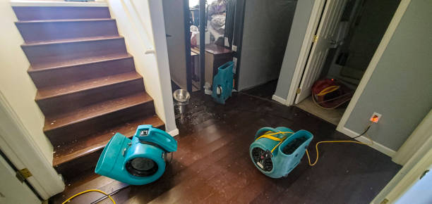 Best Ceiling water damage repair  in Gardner, KS