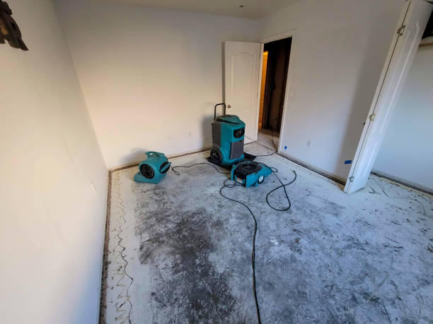 Best Water damage restoration insurance claims  in Gardner, KS