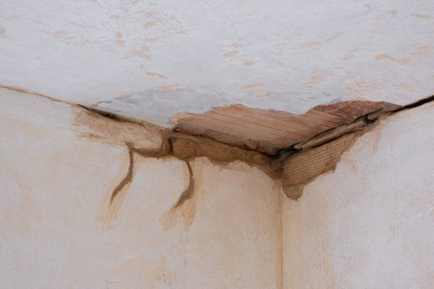 Best Flood damage cleanup  in Gardner, KS