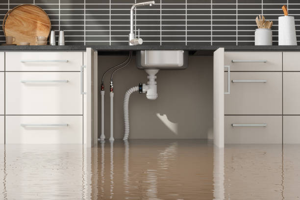 Best 24-hour water damage restoration  in Gardner, KS