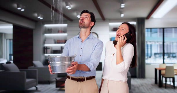 Best Water damage contractors near me  in Gardner, KS