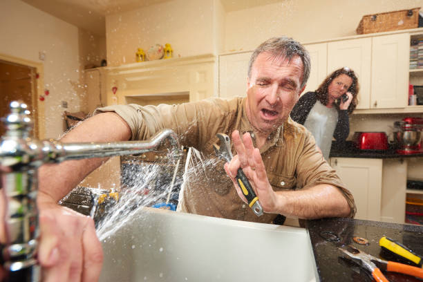 Best Mold removal after water damage  in Gardner, KS